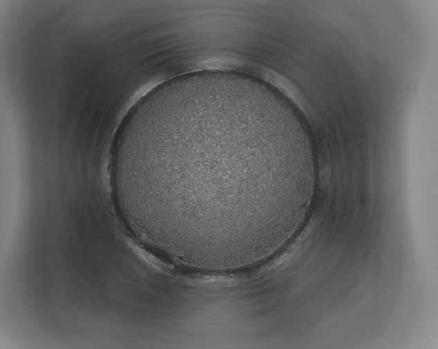 X0000112161026200908211430