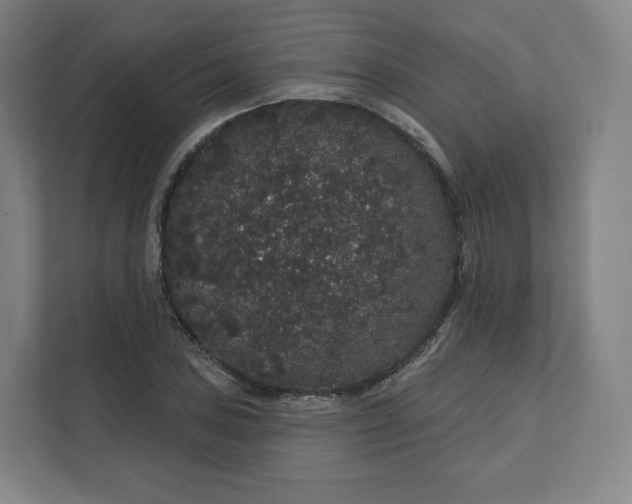 X0000112161027200908211430
