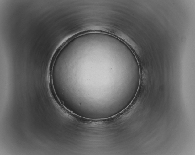 X0000112161028200908211430