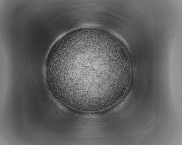 X0000112161029200908211430