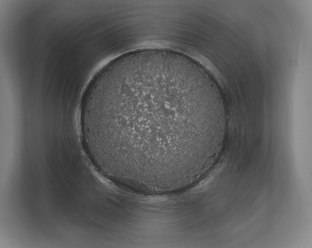 X0000112161030200908211430