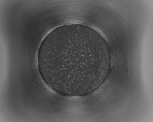 X0000112161031200908211430