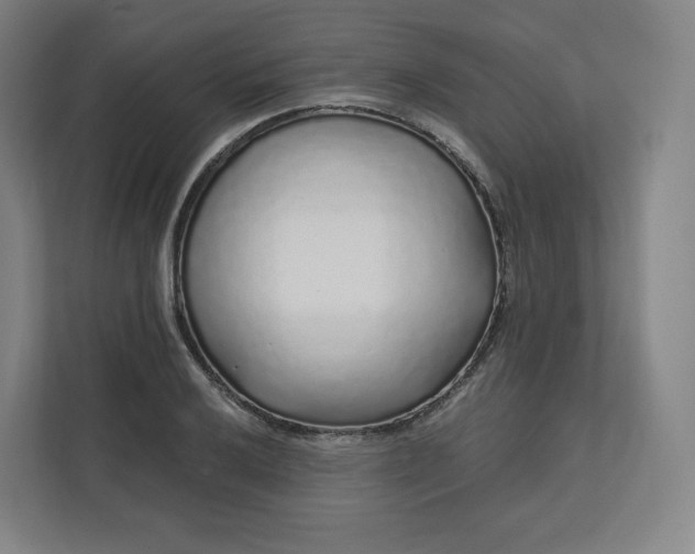 X0000112161032200908211430