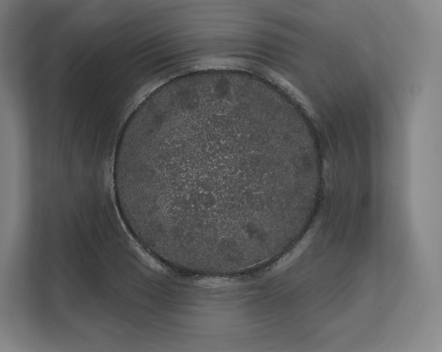 X0000112161033200908211430