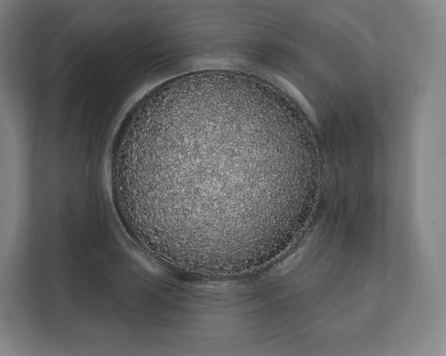 X0000112161035200908211430
