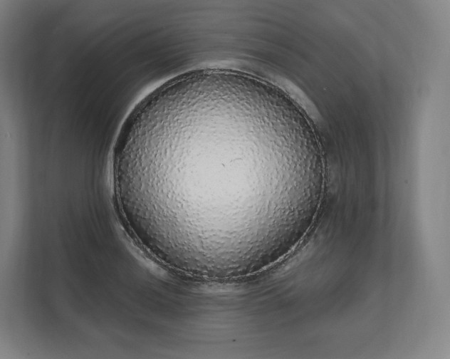 X0000112161036200908211430