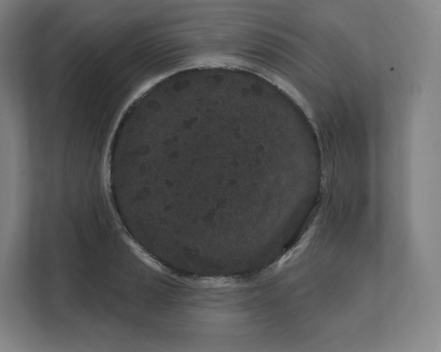 X0000112161037200908211430