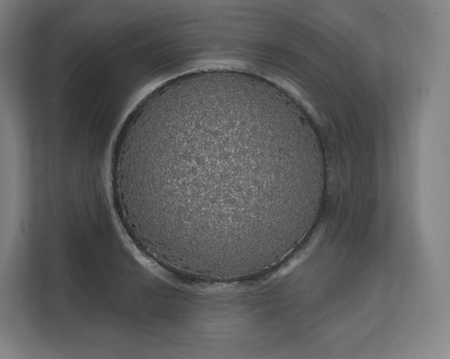 X0000112161038200908211430