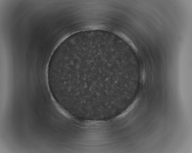 X0000112161039200908211430
