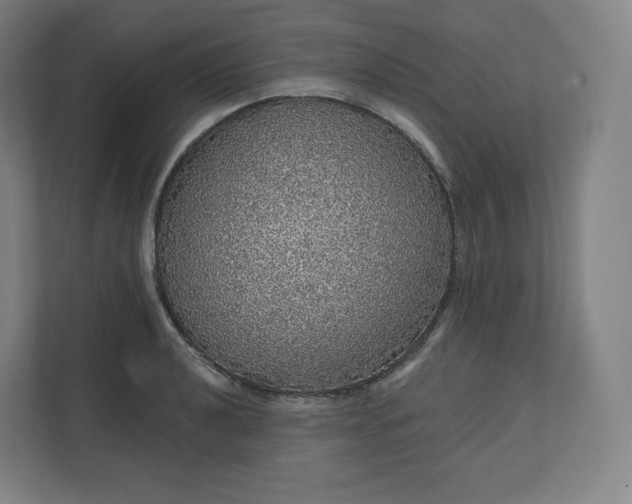 X0000112161040200908211430