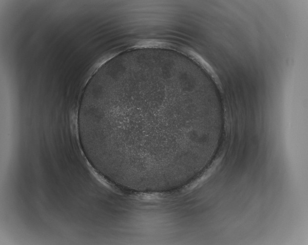 X0000112161041200908211430