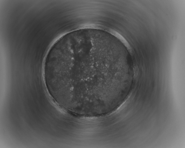 X0000112161043200908211430