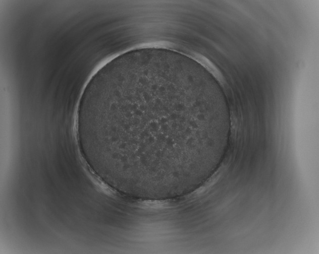 X0000112161044200908211430