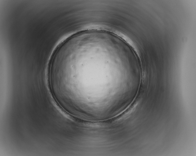 X0000112161045200908211430