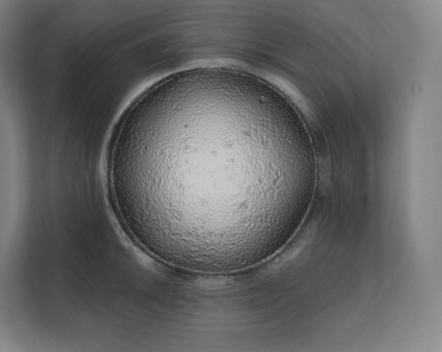 X0000112161046200908211430