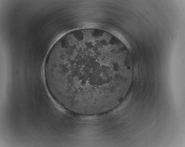 X0000112161047200908211430
