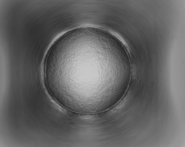 X0000112161048200908211430
