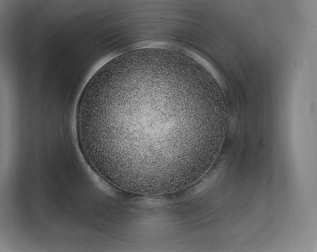 X0000112161050200908211430