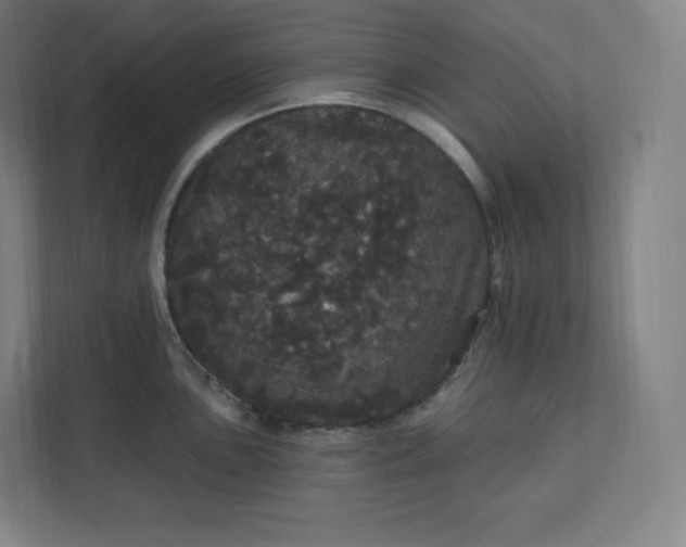 X0000112161051200908211430