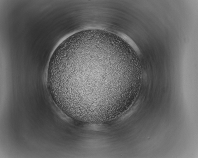 X0000112161052200908211430