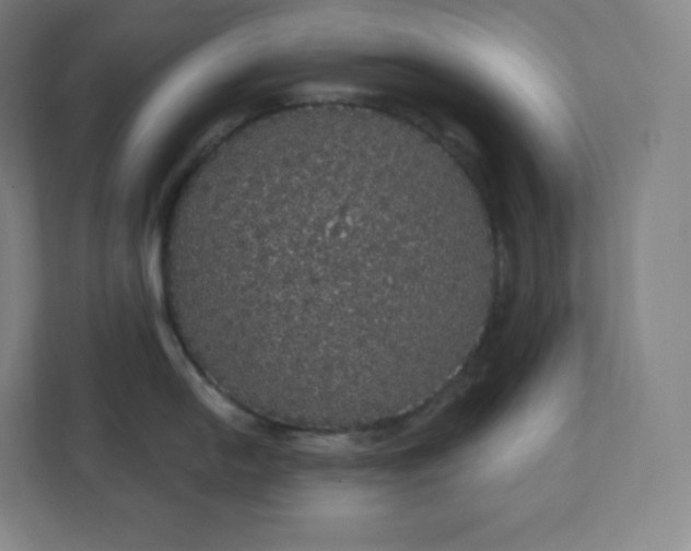 X0000112161054200908211430