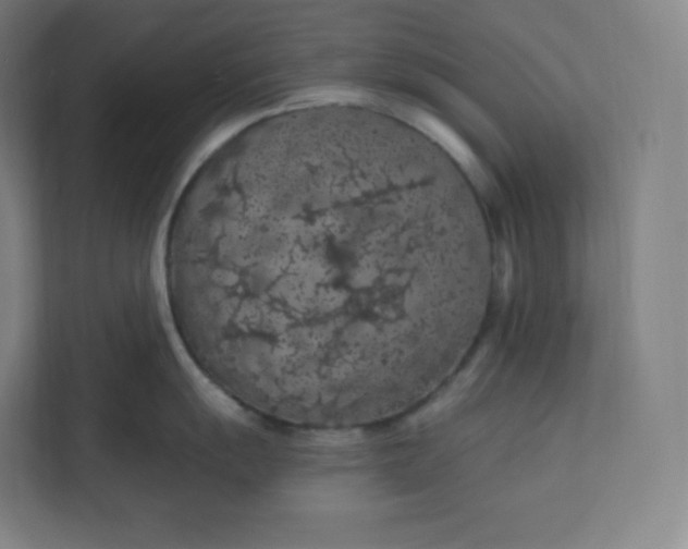 X0000112161055200908211430