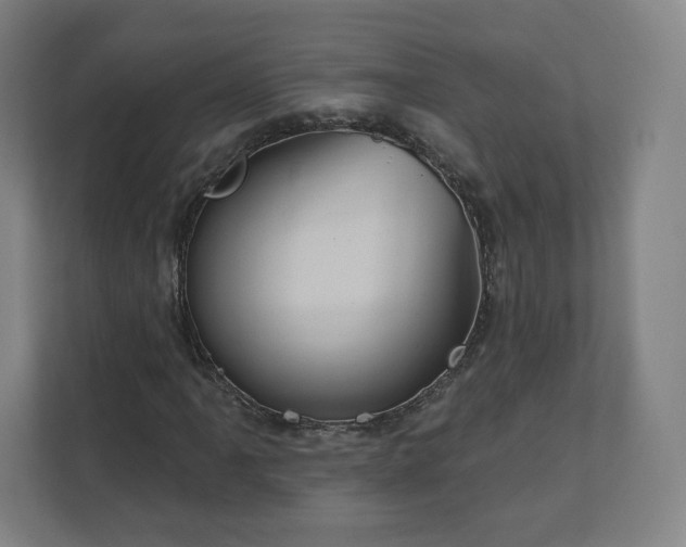 X0000112161061200908211430