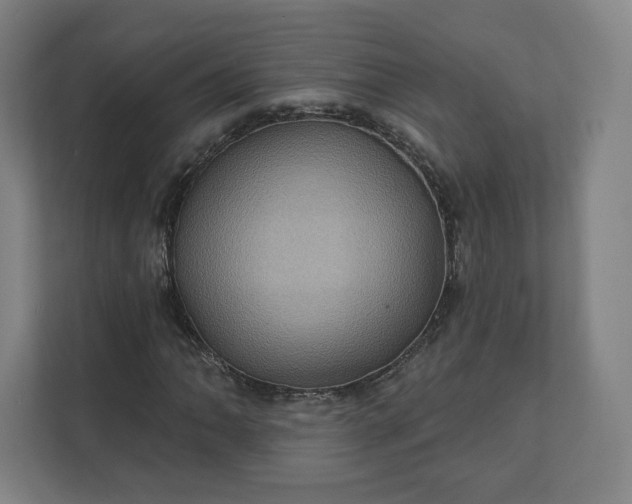 X0000112161062200908211430