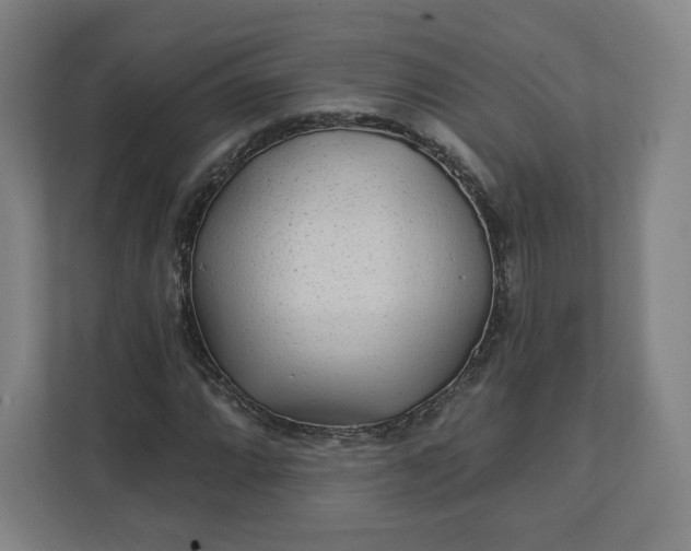 X0000112161064200908211430