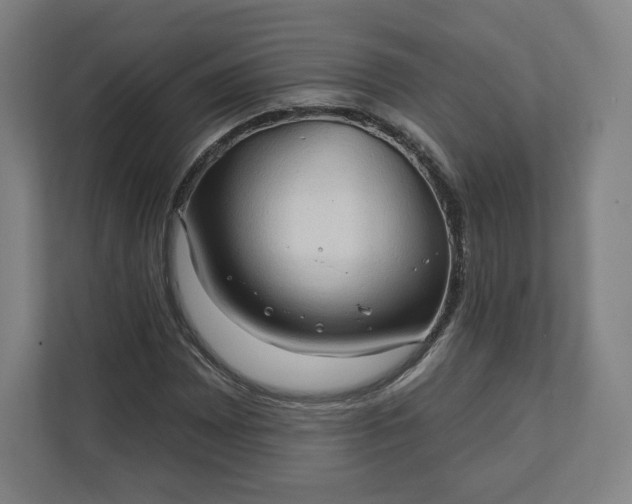 X0000112161065200908211430
