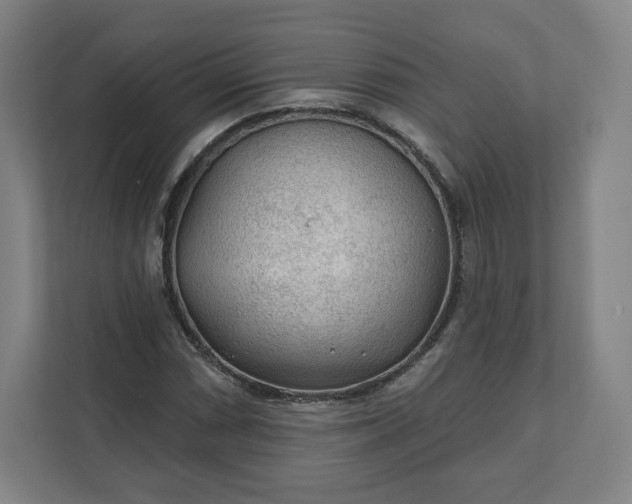 X0000112161066200908211430