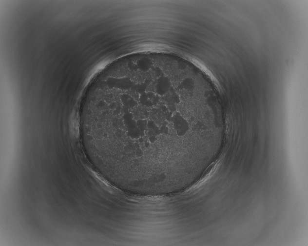 X0000112161067200908211430
