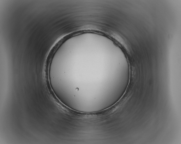 X0000112161068200908211429