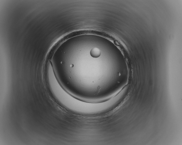 X0000112161069200908211429