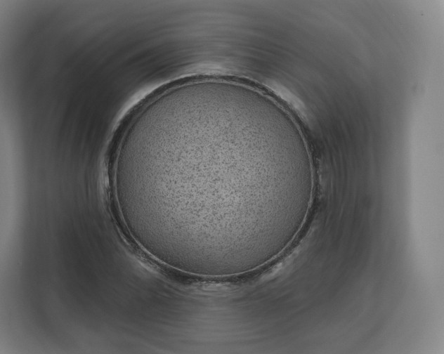 X0000112161070200908211429