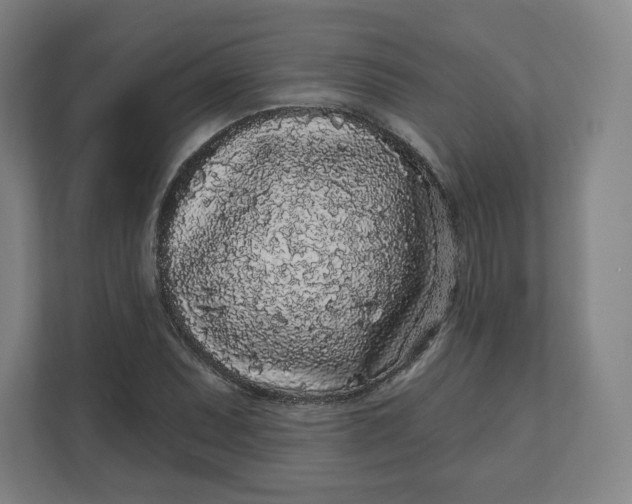 X0000112161071200908211429