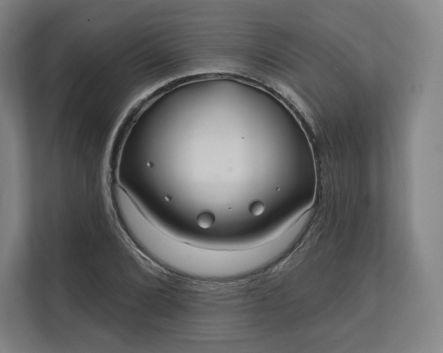 X0000112161072200908211429