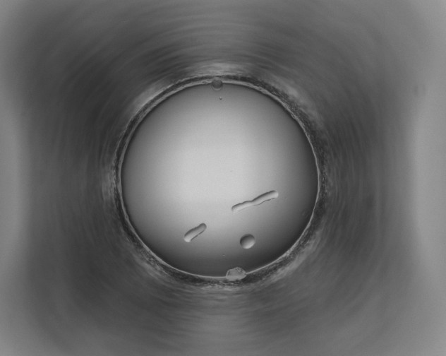 X0000112161073200908211429