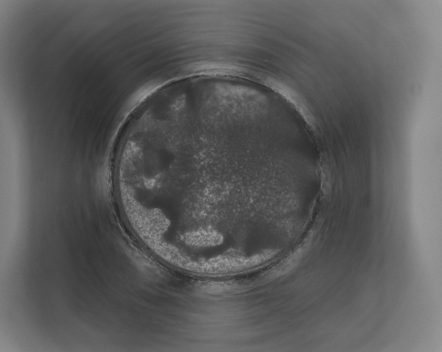 X0000112161074200908211429