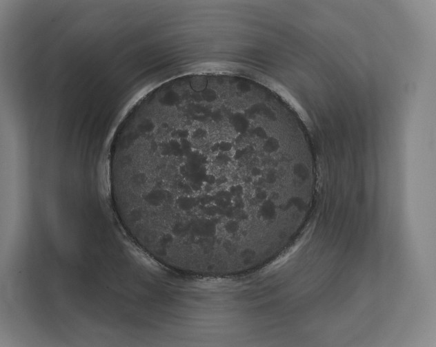 X0000112161075200908211429