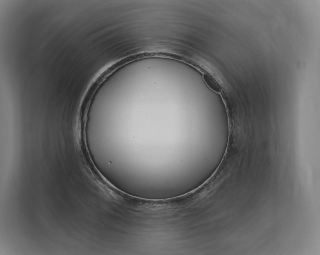 X0000112161076200908211429