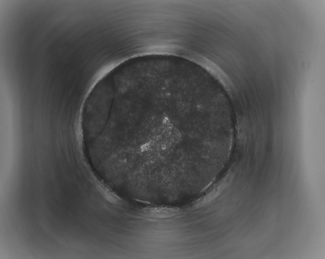 X0000112161077200908211429