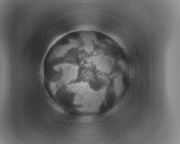 X0000112161078200908211429