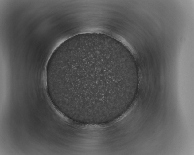 X0000112161079200908211429