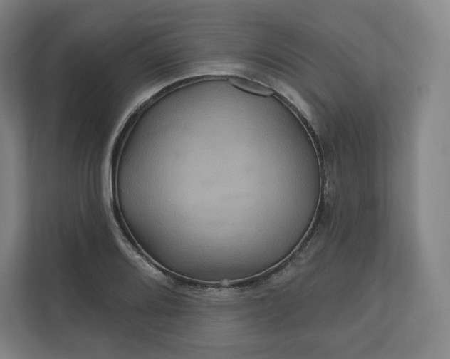 X0000112161080200908211429