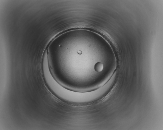 X0000112161081200908211429