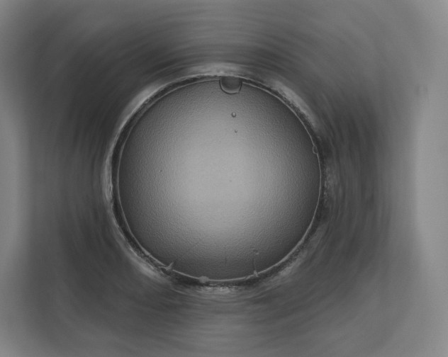 X0000112161082200908211429