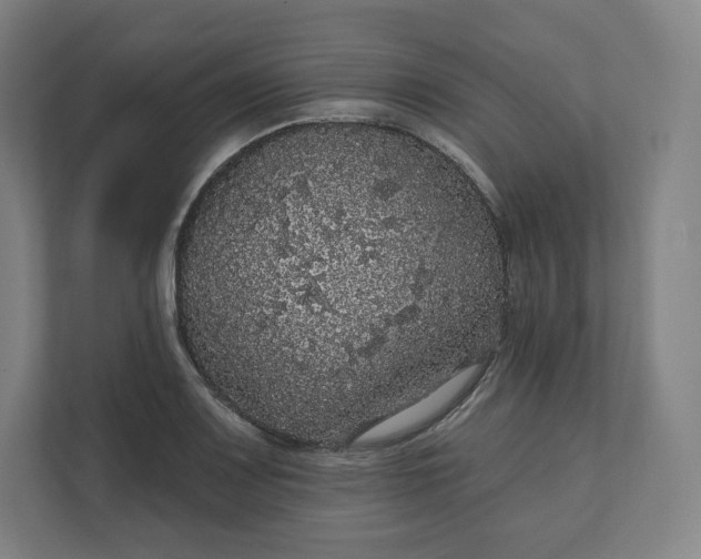 X0000112161083200908211429