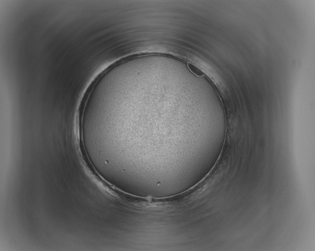X0000112161084200908211429