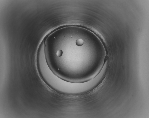 X0000112161085200908211429